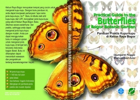Cover Buku Practical Guide to the Butterflies of Bogor Botanic Garden